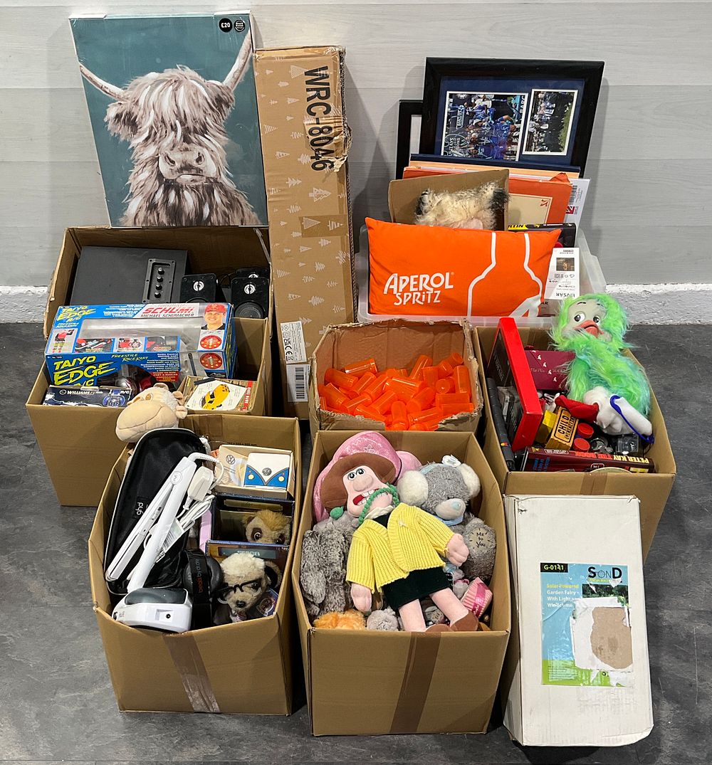 Lot 21: * 6 Cartons and a Crate Containing Assorted Household Goods including Taiyo Edge Michael Schumacher R/C Kart