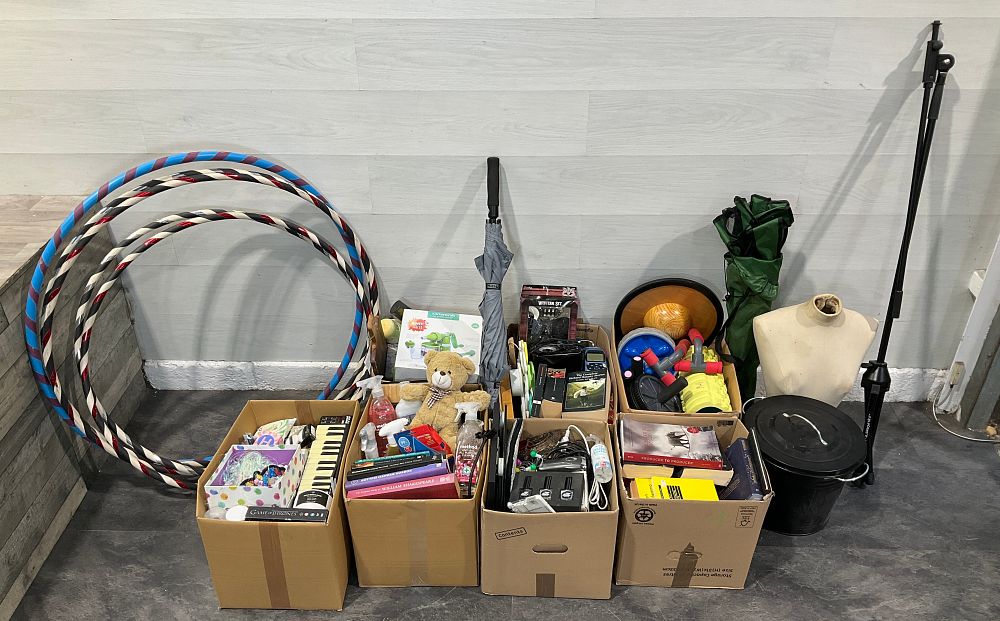 Lot 113: * An Assortment Of Loose Goods & 4 Cartons Containing Assorted Household Items including Akai LPK25 Keyboard and KitchenCraft Manual Juicer
