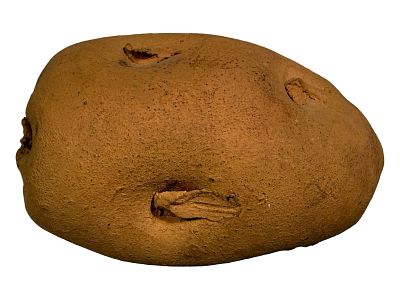 George Ohr Potato Bank. Made of Clay. Made by George Ohr. Biloxi, Miss. - 1890's. Condition: 