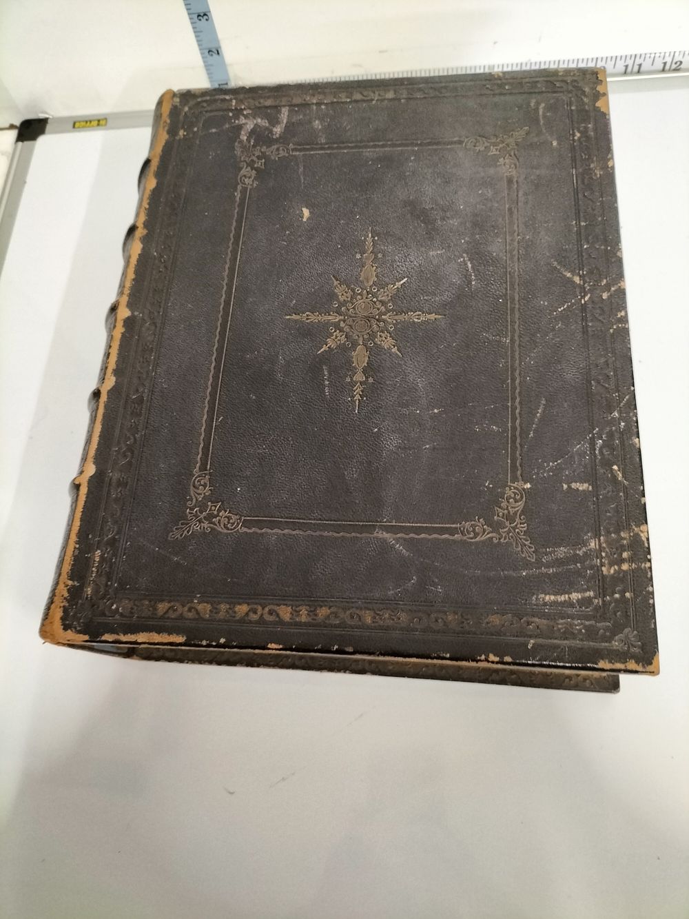 Lot 225