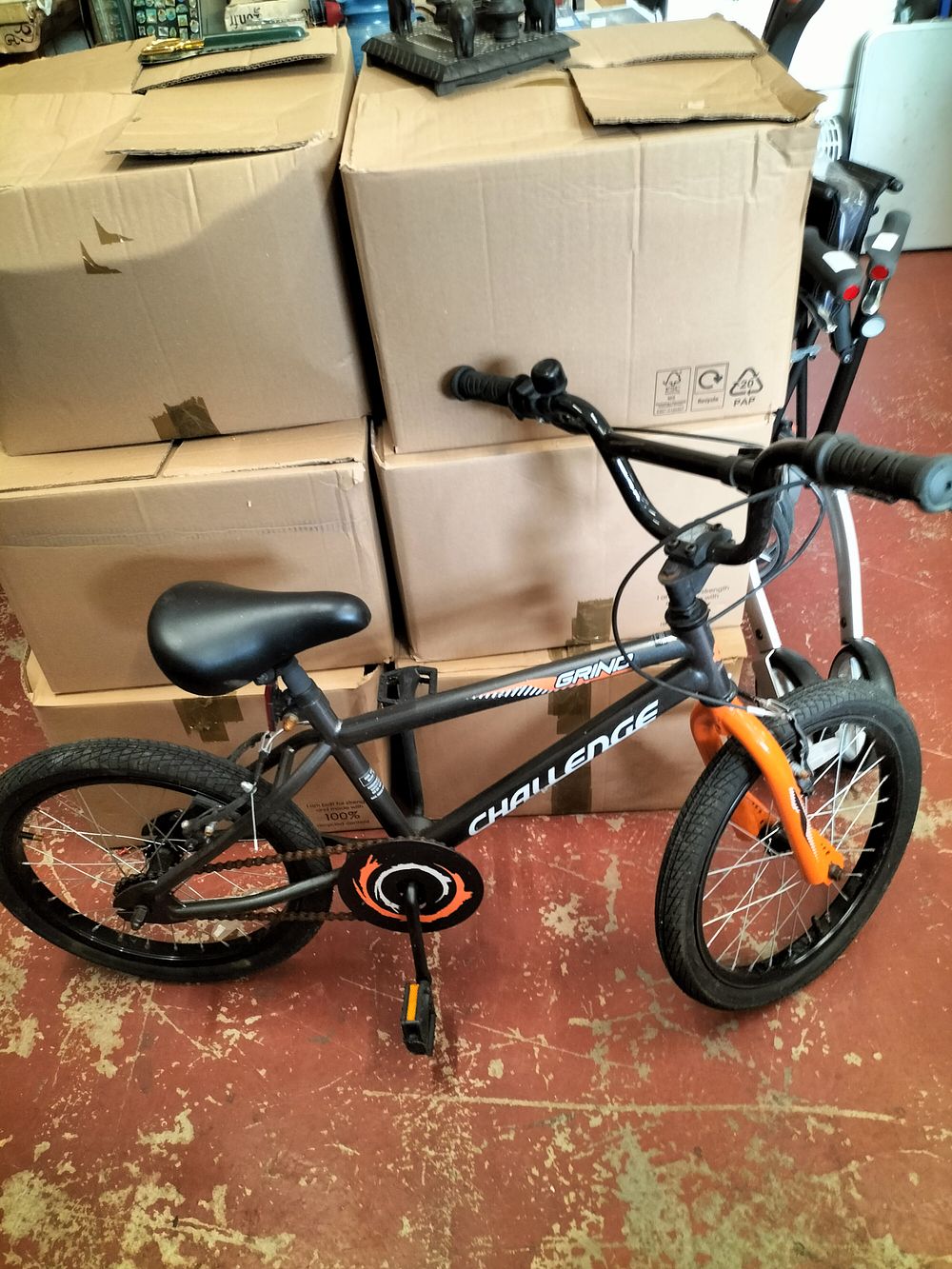 Lot 204 – Challenge Childs Bike