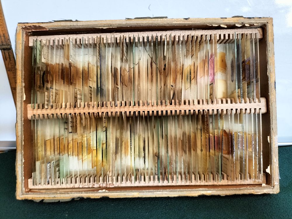 Lot 186 – A Collection of Vintage French Microscope Slides in a Wooden Storage Box