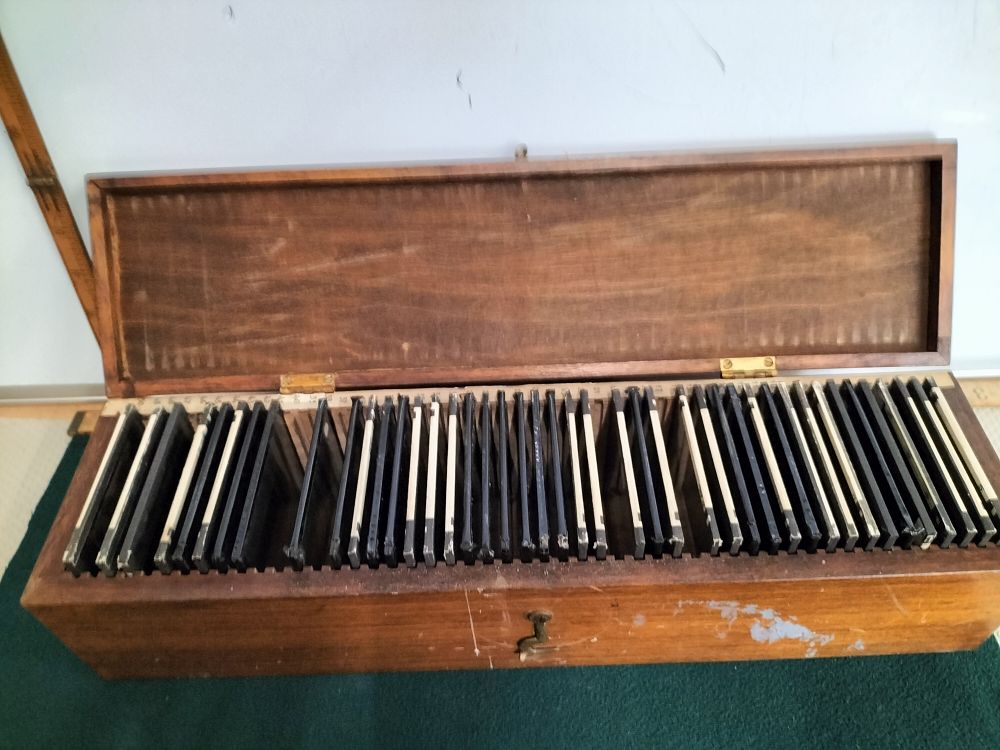 Lot 161 – A Collection of Courtaulds Rayon Plastic Development Slides in a Fitted Wooden Case, circa 1920-1930