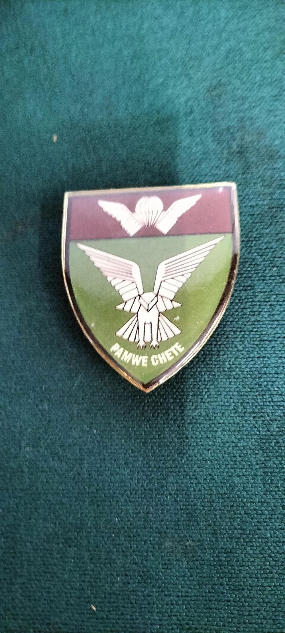 Lot 220 – A Gold coloured Rhodesian Selous Scouts Unit Badge