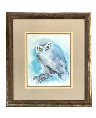 Klaus Meyer-Gasters Gray Owl Print. Klaus Meyer-Gasters, German watercolor artist. A Gray Owl 
