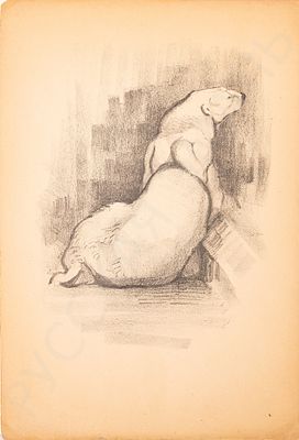 Ватагин Василий Алексеевич (1884–1969). Белый медведь. 1950-е. Бумага, литография. 48х32. 