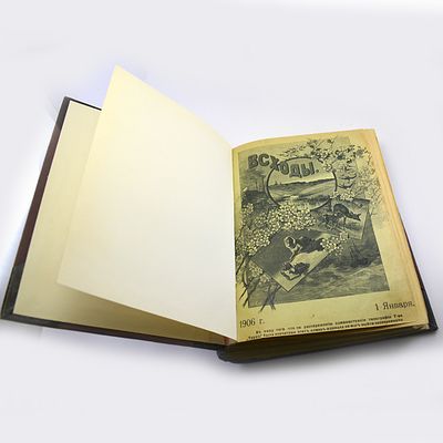 Годовая подшивка иллюстрированного журнала для детей &laquo;Всходы&raquo; за 1906 год.
. 1906 год. город 