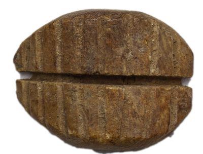 Платежное средство. Китай. Платежное средство в виде костяного подражания раковине каури. I 