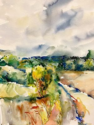 Елена Гордиевская. Родные просторы. . Бумага, акварель. 38х27 см. Паспарту, багет. 2024 г. 