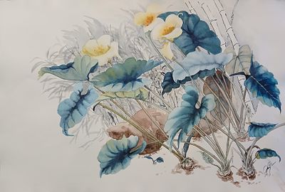 Лариса Дутова. Каллы. . Акварель, бумага. 40х60 см. Без оформления. 
Лариса Дутова. Г. Троицк 