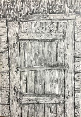 Плоткин Дмитрий - Створки. Бумага, карандаш, 42х30, 2023Родился в городе Никополе Днепропетровской 