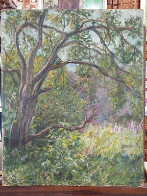 Н/х - Старое дерево. Картон, масло, 50х40
