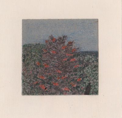 Басыров Гариф - куст. Бумага, цветные карандаши, 6,5х6,5смГариф Басыров –художник и иллюстратор 