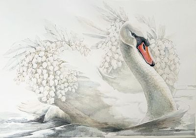 Масалевич Елена Валерьевна - Лебедь-Андромеда. 40х58 (57х75 см в оформлении паспарту, багет 