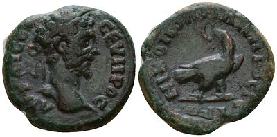 Римская Империя, Провинция Нижняя Мезия, Никополь-на-Истре AE 193 - 211 (артикул 1100-8-36). Сеп 