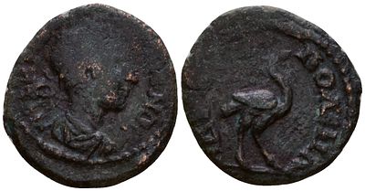 Римская Империя, Провинция Фракия, Адрианополь AE 238 - 244 (артикул 1100-8-47). Гордиан III 