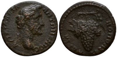 Римская Империя, Провинция Фракия, Адрианополь AE 138 - 161 (артикул 1100-8-41). Антонин Пий 