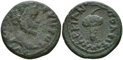 Римская Империя, Провинция Нижняя Мезия, Маркианополь AE 193 - 211 (артикул 1100-7-115)