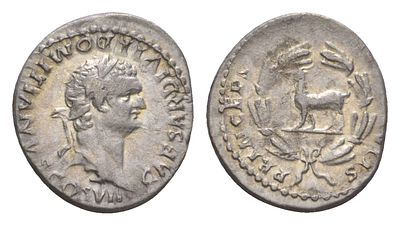 Римская Империя денарий 80 (артикул 00-902-87). Домициан, в ранге цезаря, CAESAR DIVI F 