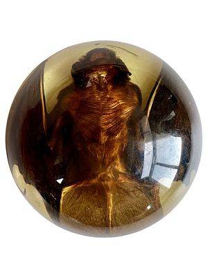 עטלף מפוחלץ ביציקת אפוקסי דמוית ענבר (שנות ה־60-80). כיפת אפוקסי דמוית ענבר שקופה, ובה עטלף 