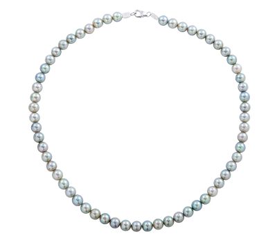 COLLAR DE PERLAS CULTIVADAS GRISES Y PLATA DE LEY 925. Collar de 60 perlas cultivadas en color 