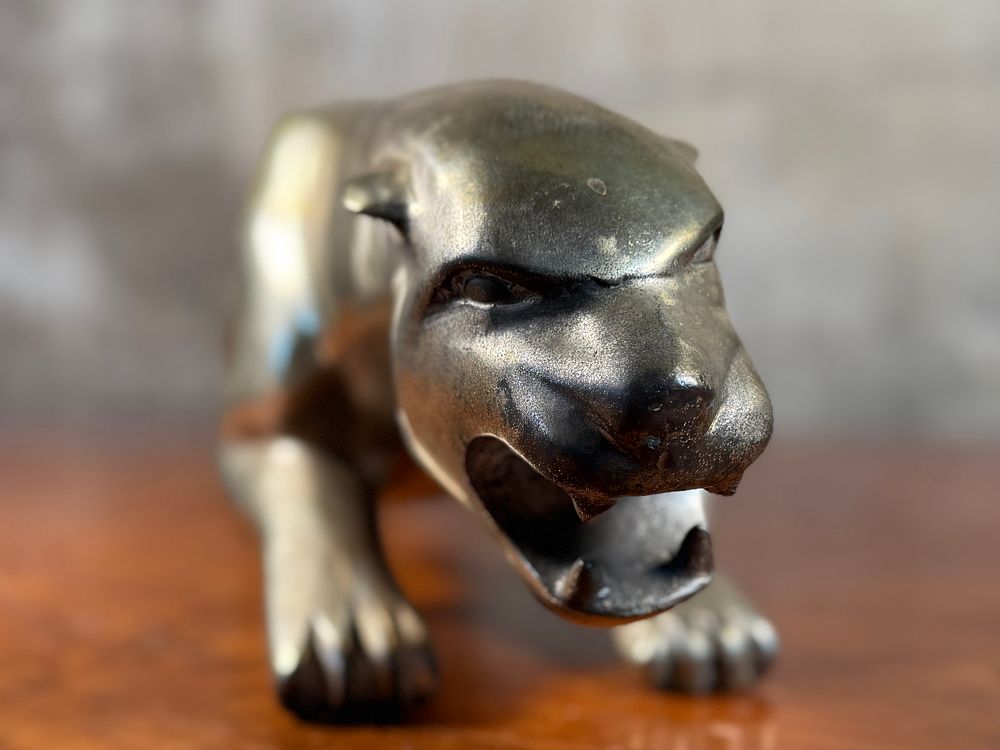 Salem Auction House | CURATED COLLECTION