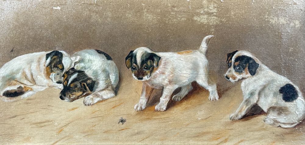 Salem Auction House | ODDS & ENDS