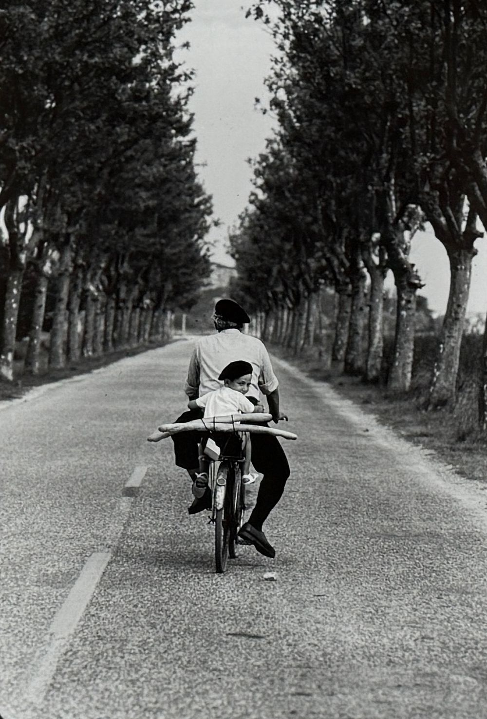 Salem Auction House | PHOTOGRAPHY & FINE ART