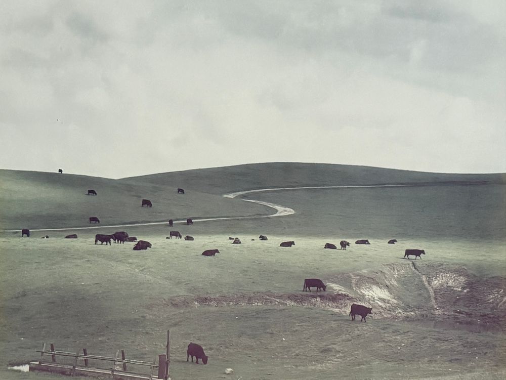 Salem Auction House | ART & ANTIQUES