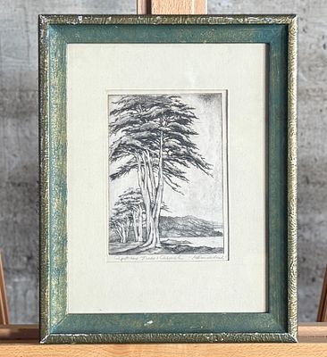 HARRIET GENE ROUDEBUSH, "CYPRESS TREES, CARMEL". "Cypress Trees, Carmel", an etching by listed 
