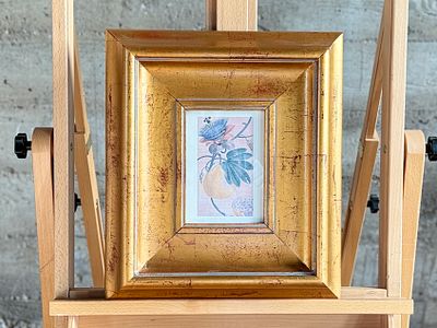 BOTANICAL PRINT IN ANTIQUED GOLD WOODEN FRAME. This lot features a vintage botanical print in a 