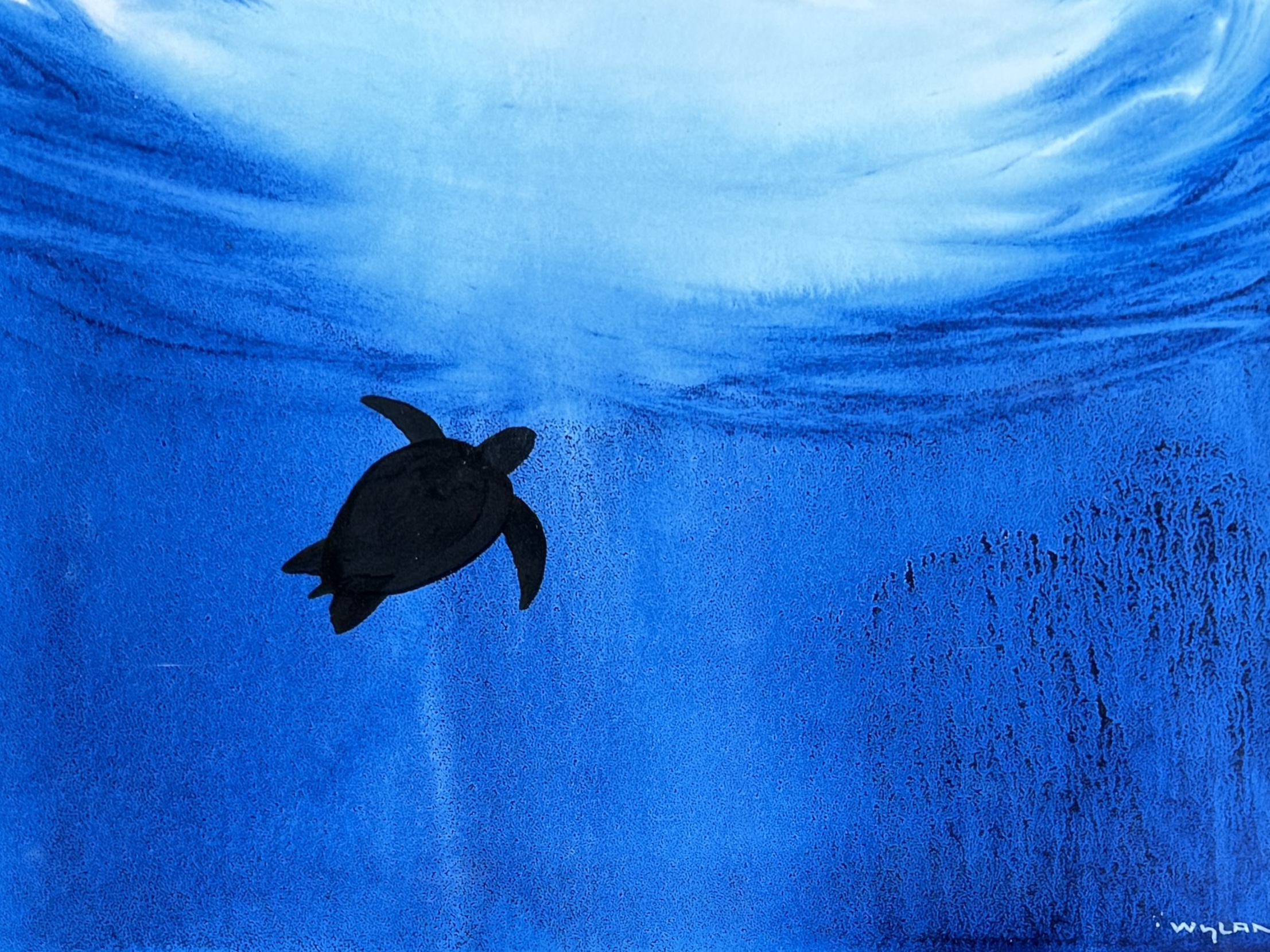 ROBERT WYLAND, "TURTLE"