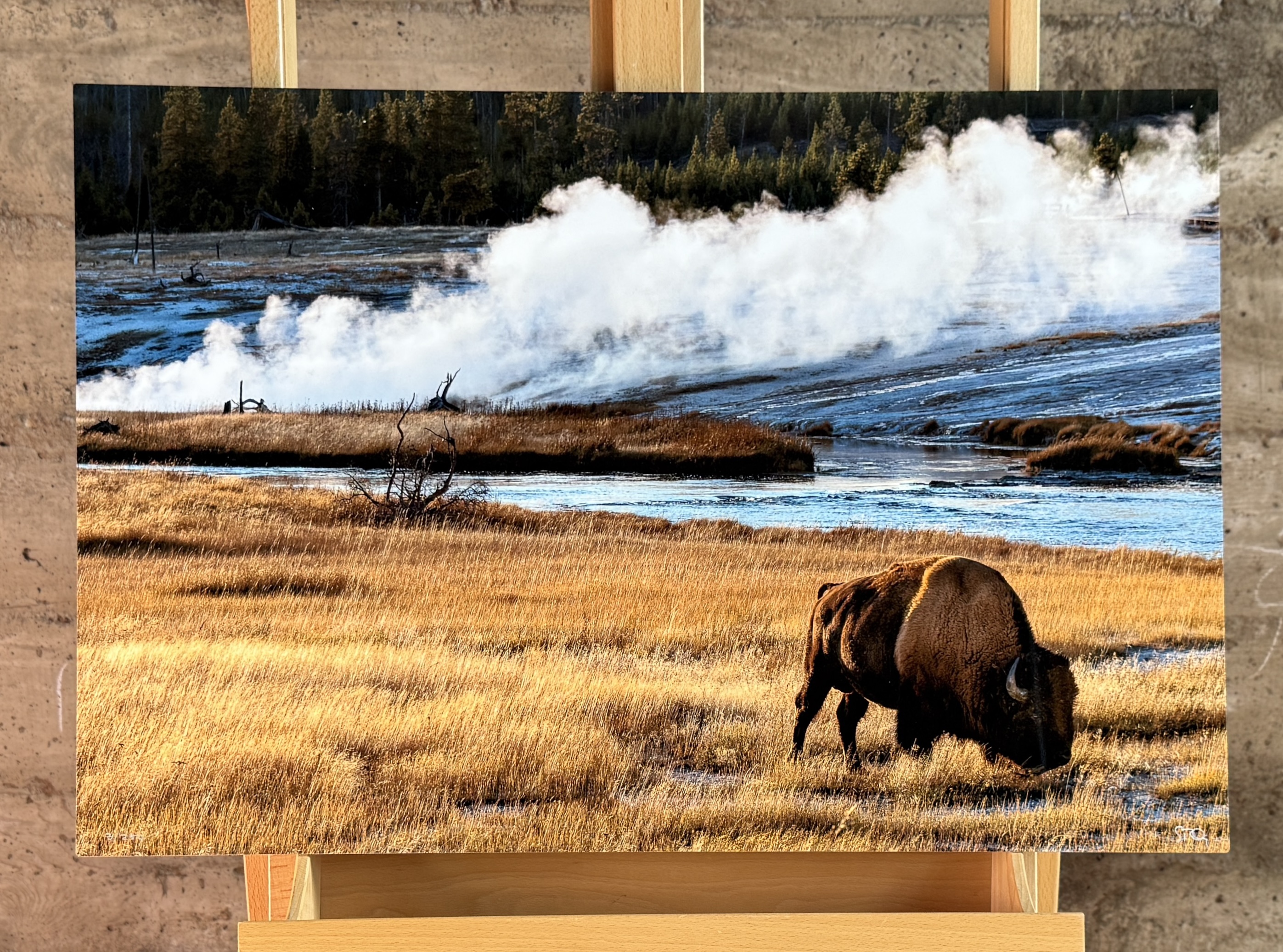 SCOTT RUBEY, "AGES PAST, YELLOWSTONE NATIONAL PARK, WYOMING"