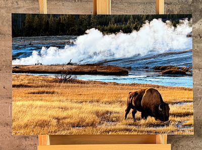 SCOTT RUBEY, "AGES PAST, YELLOWSTONE NATIONAL PARK, WYOMING". "Ages Past, Yellowstone National 