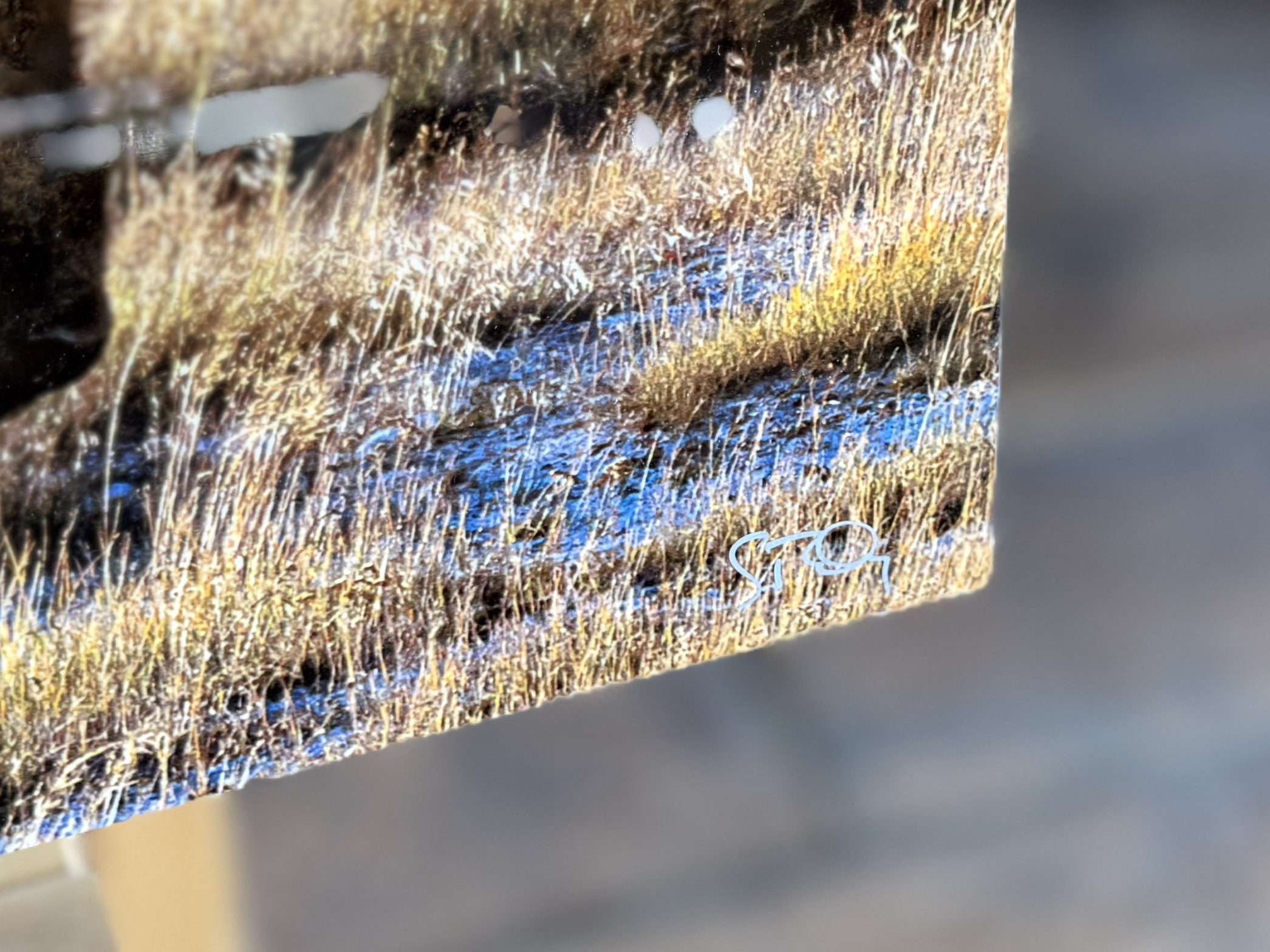 SCOTT RUBEY, "AGES PAST, YELLOWSTONE NATIONAL PARK, WYOMING"