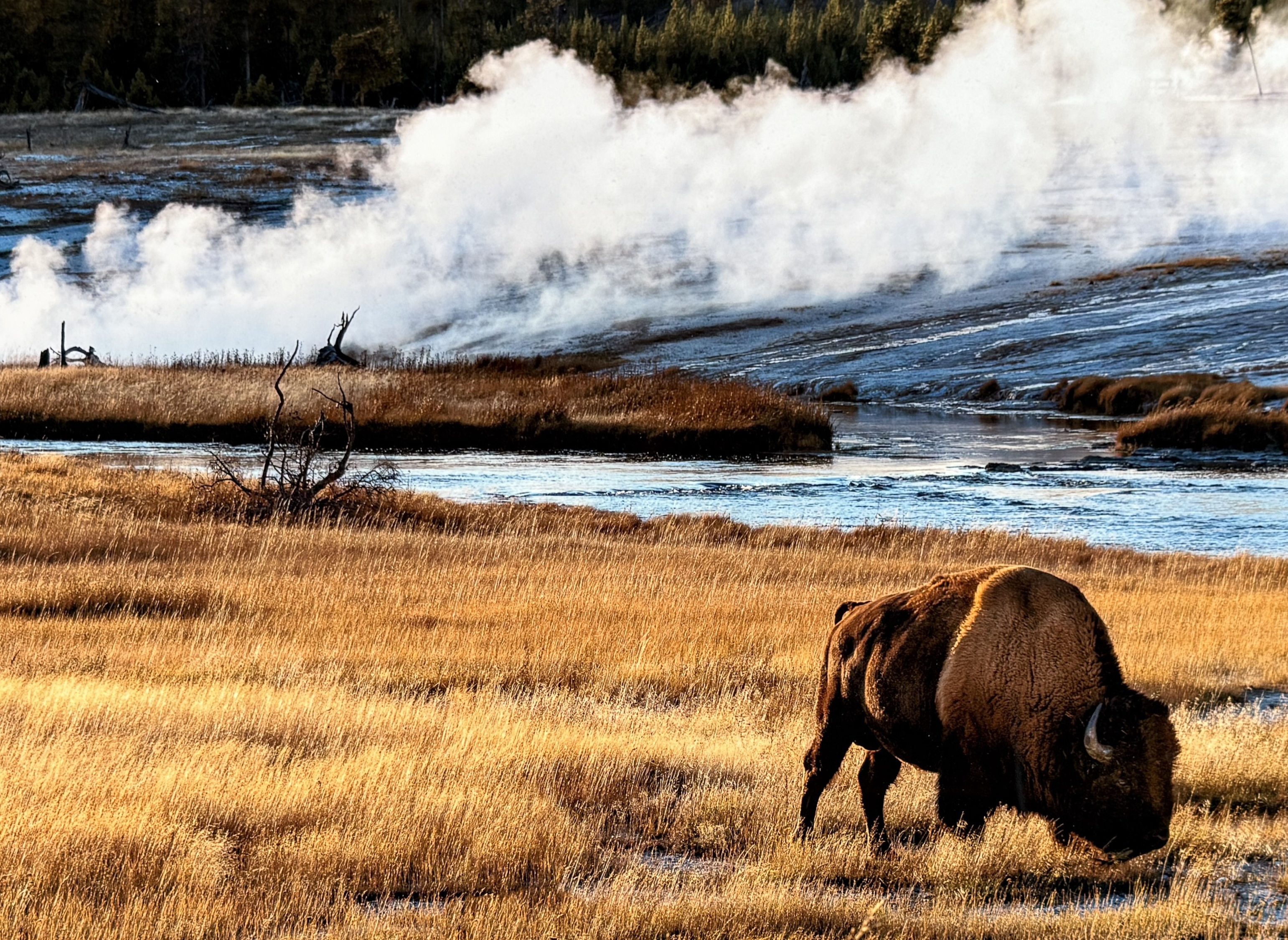 SCOTT RUBEY, "AGES PAST, YELLOWSTONE NATIONAL PARK, WYOMING"