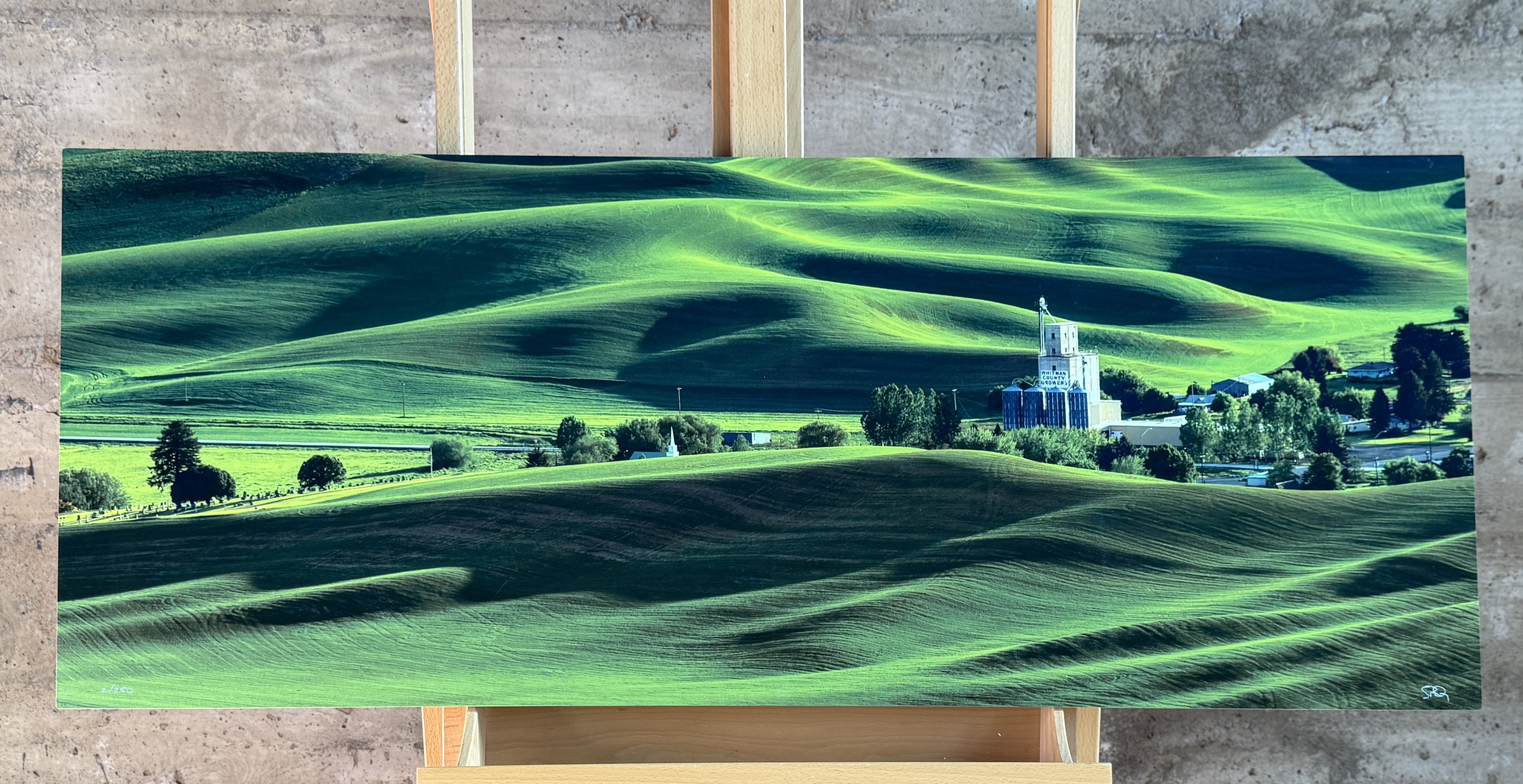 SCOTT RUBEY, "PALOUSE HILLS"