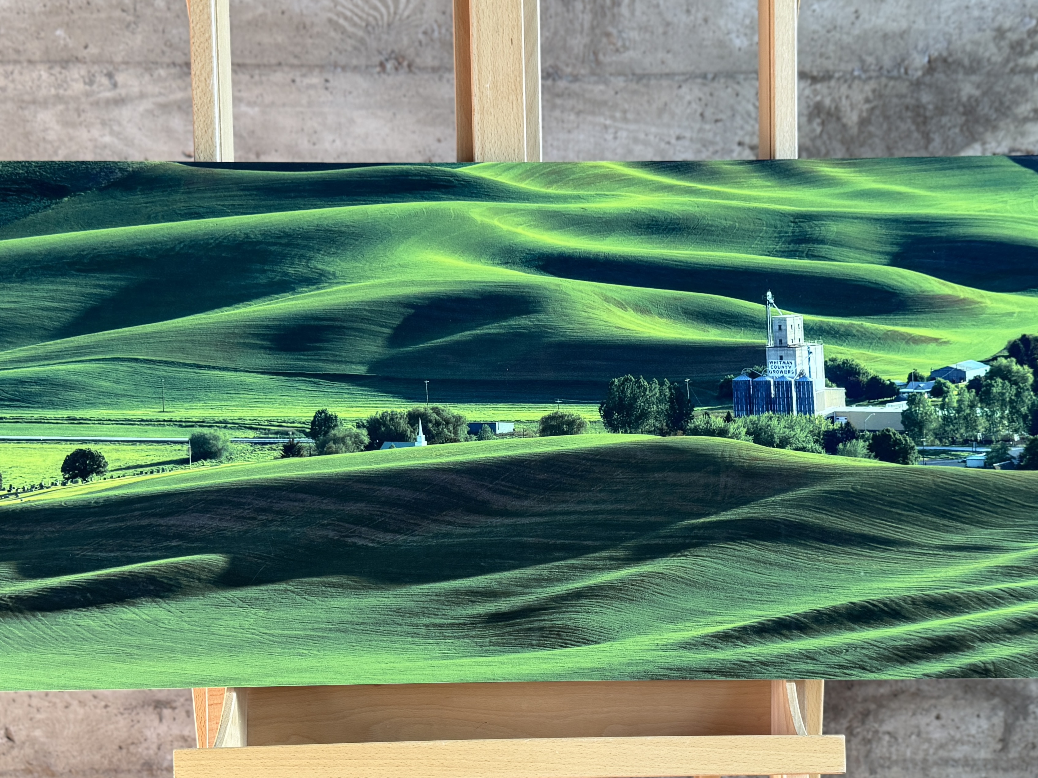SCOTT RUBEY, "PALOUSE HILLS"