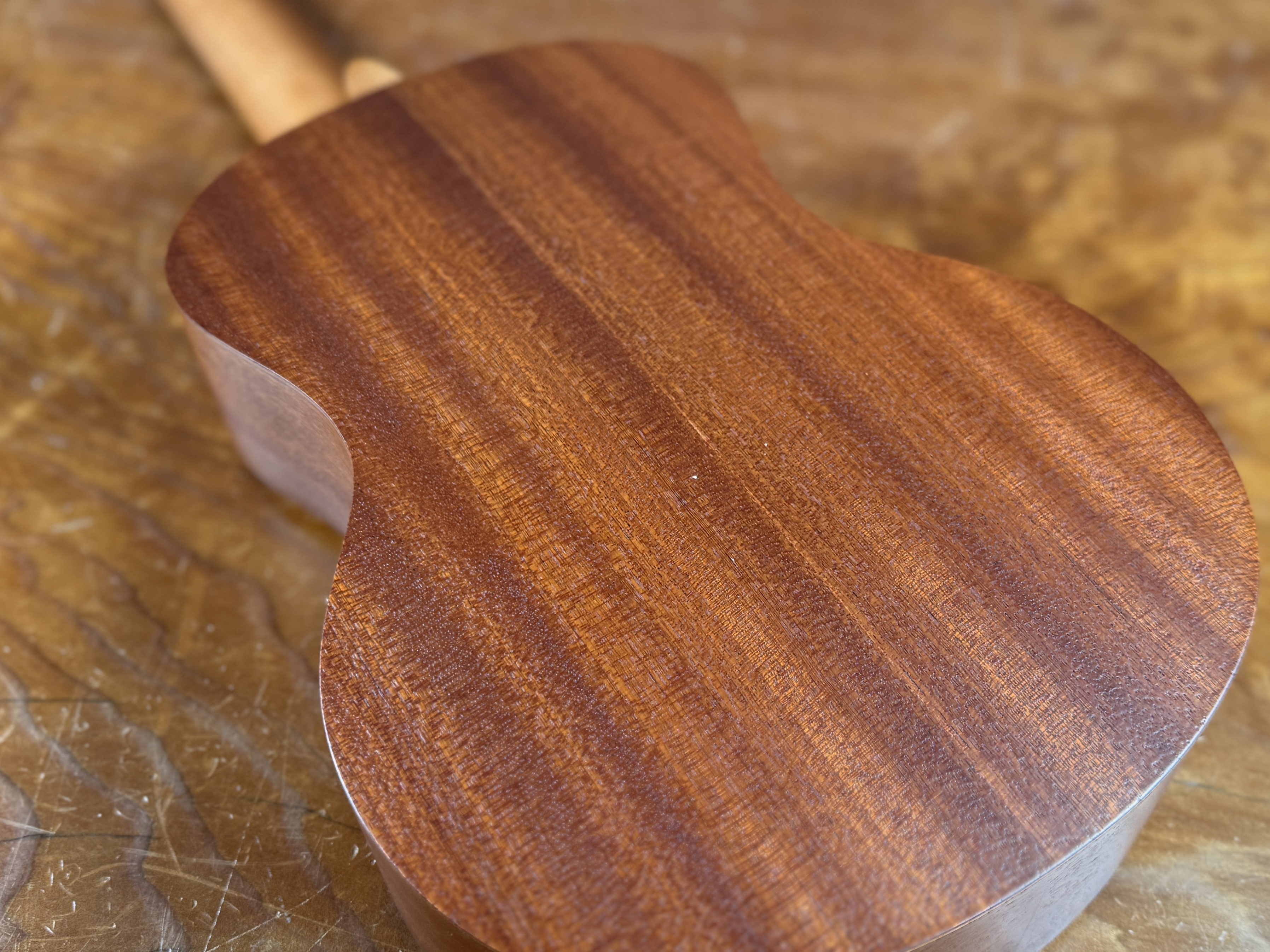 AMAHI, UKULELE
