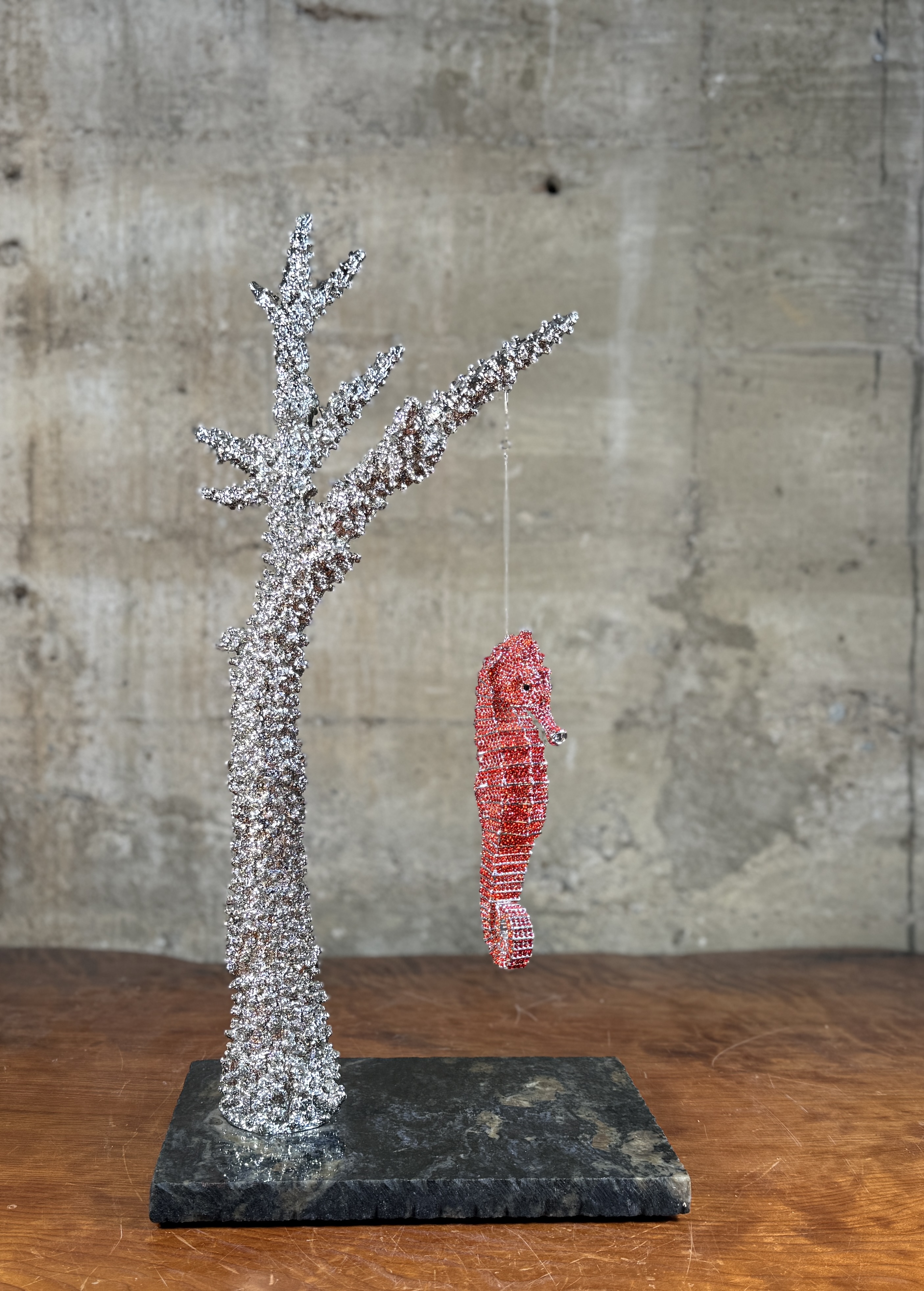 CLARITA BRINKERHOFF, "SEAHORSE ON STAGHORN CORAL"