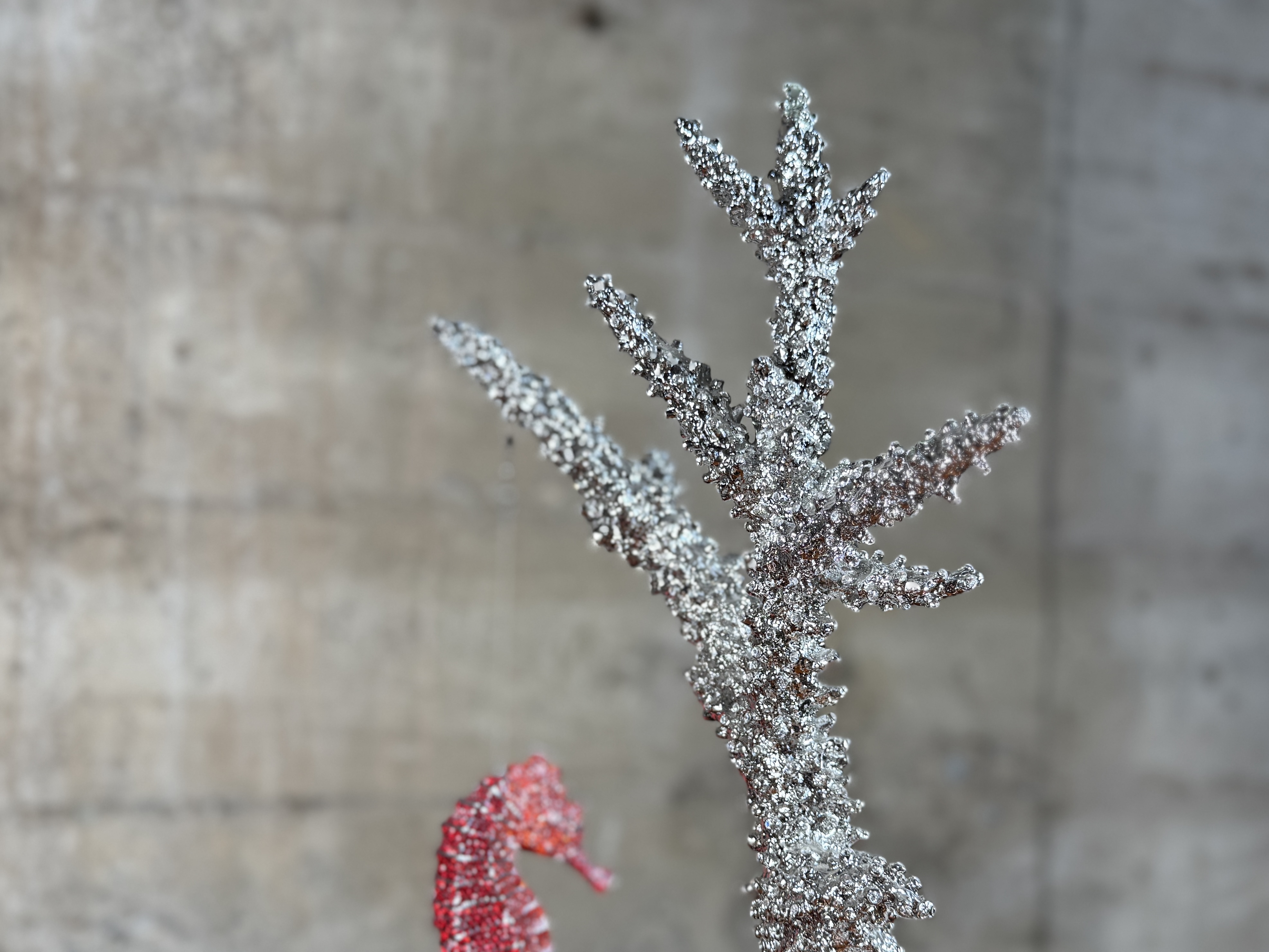 CLARITA BRINKERHOFF, "SEAHORSE ON STAGHORN CORAL"