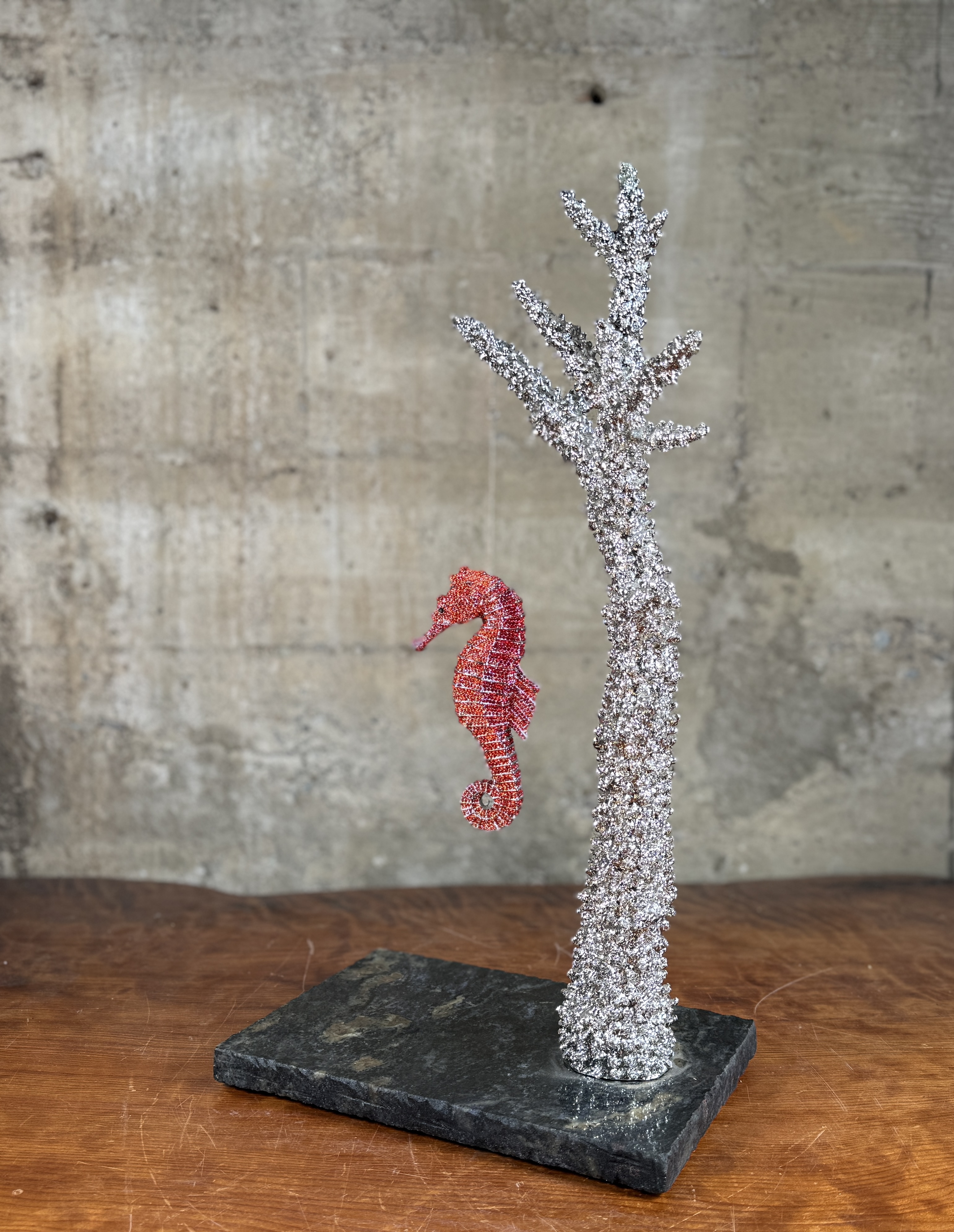 CLARITA BRINKERHOFF, "SEAHORSE ON STAGHORN CORAL"