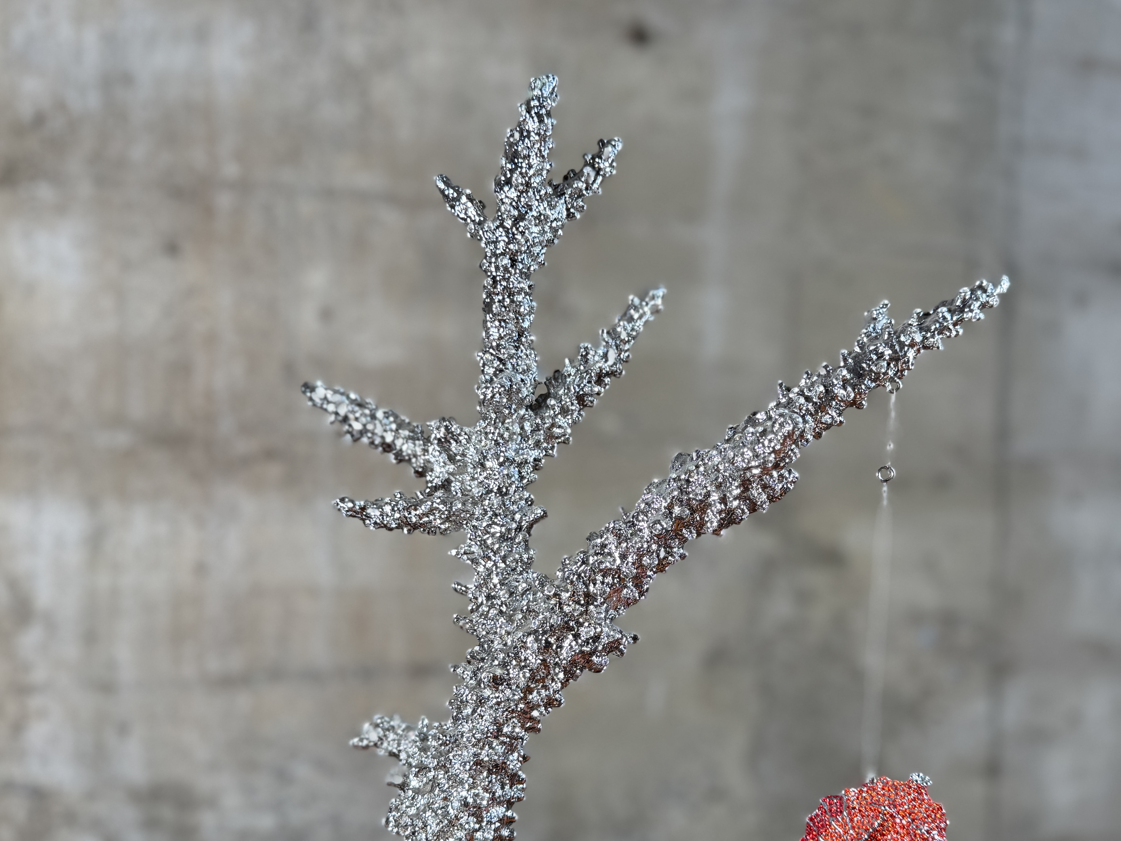 CLARITA BRINKERHOFF, "SEAHORSE ON STAGHORN CORAL"