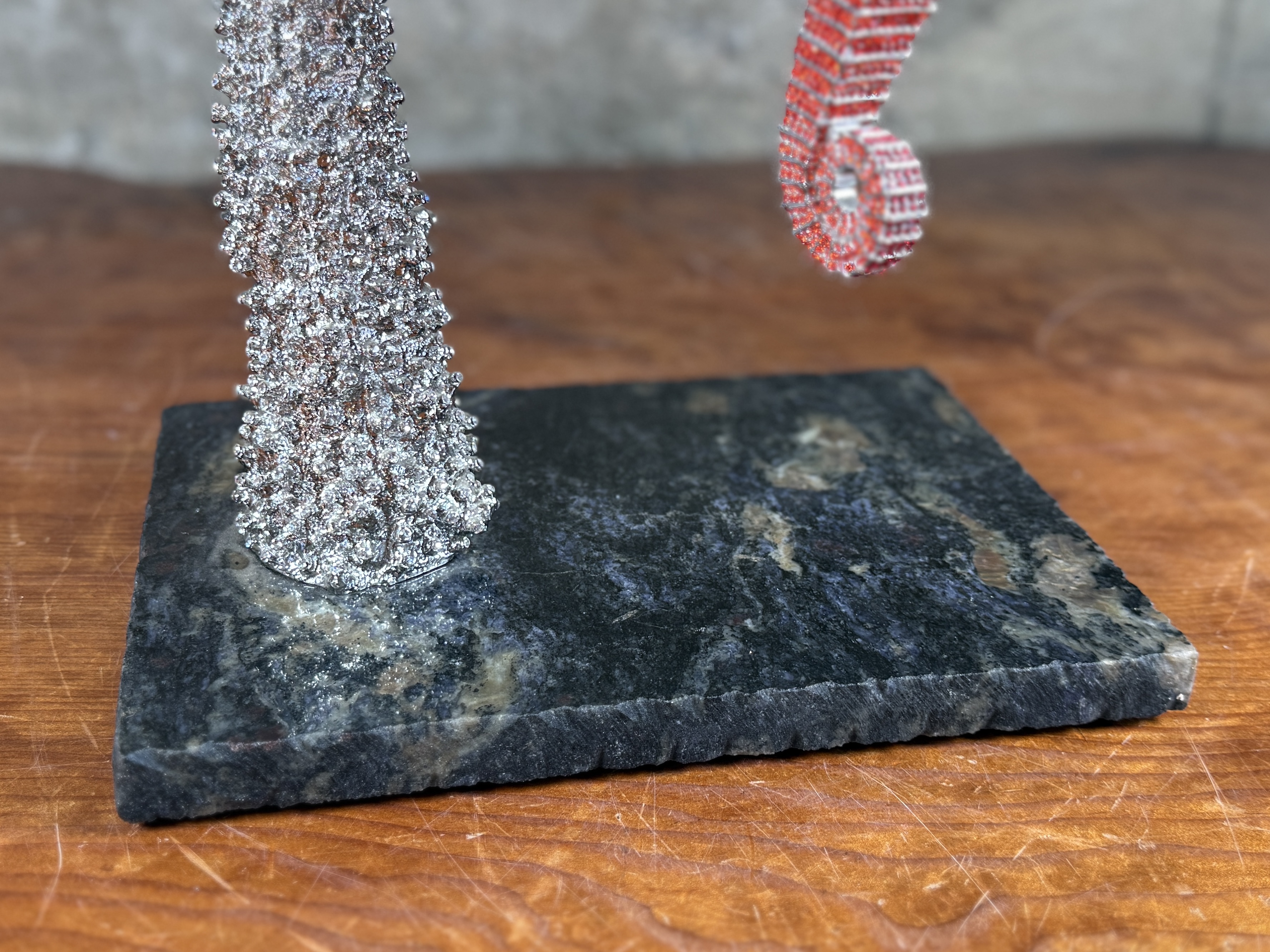 CLARITA BRINKERHOFF, "SEAHORSE ON STAGHORN CORAL"