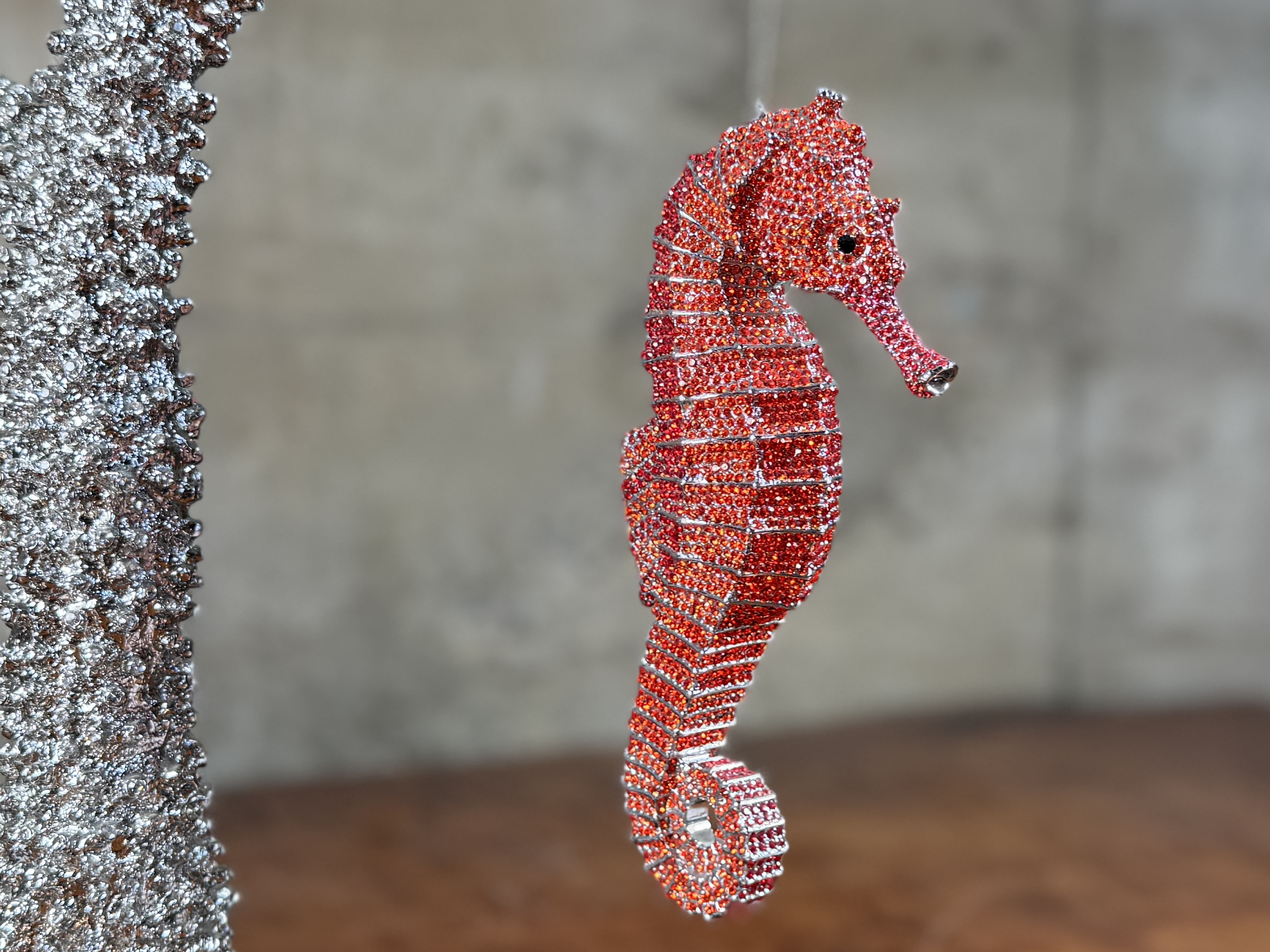 CLARITA BRINKERHOFF, "SEAHORSE ON STAGHORN CORAL"