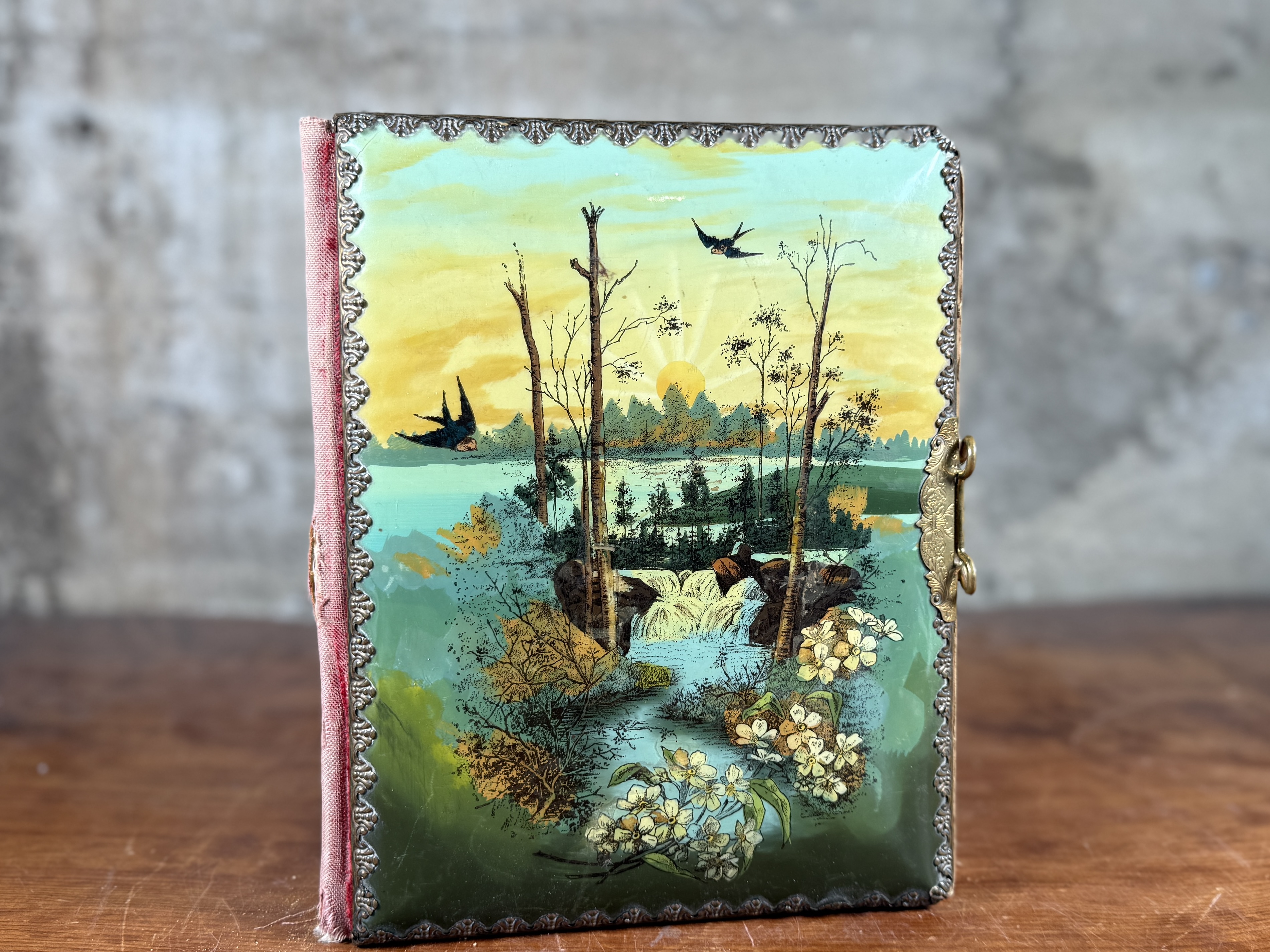 19TH CENTURY PHOTO ALBUM WITH CELLULOID COVER