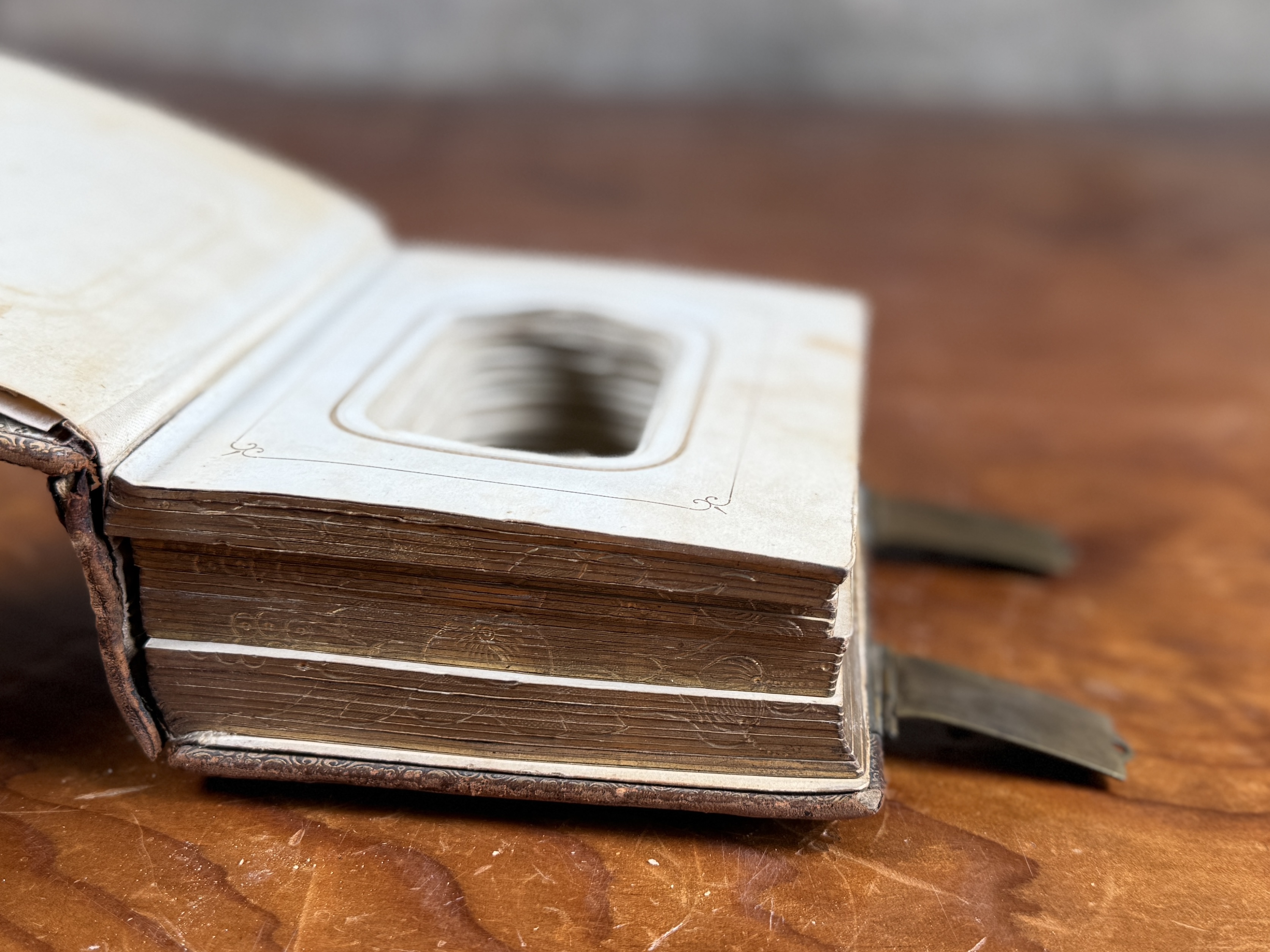 19TH CENTURY EMBOSSED LEATHER PHOTO ALBUM