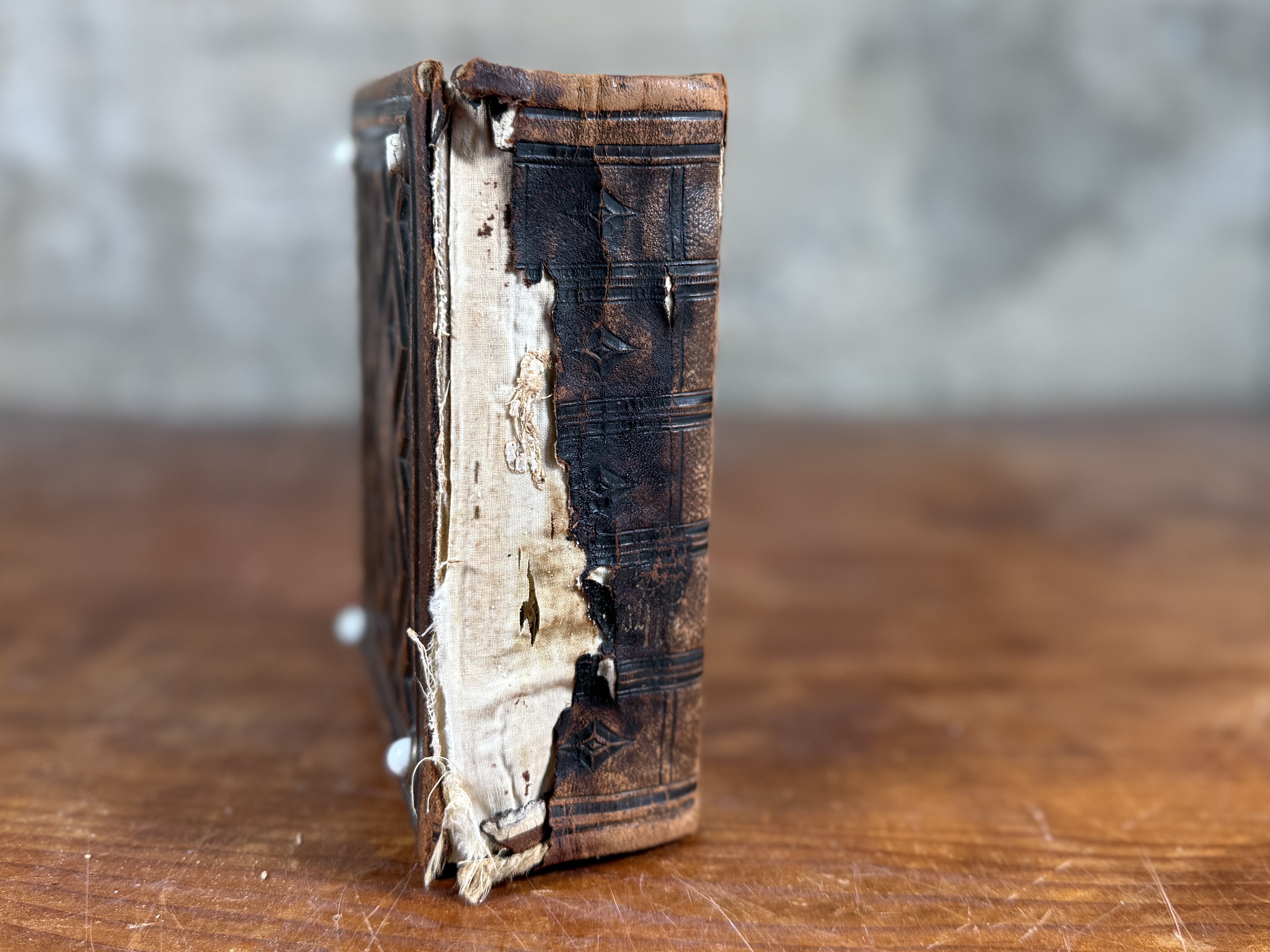 19TH CENTURY EMBOSSED LEATHER PHOTO ALBUM
