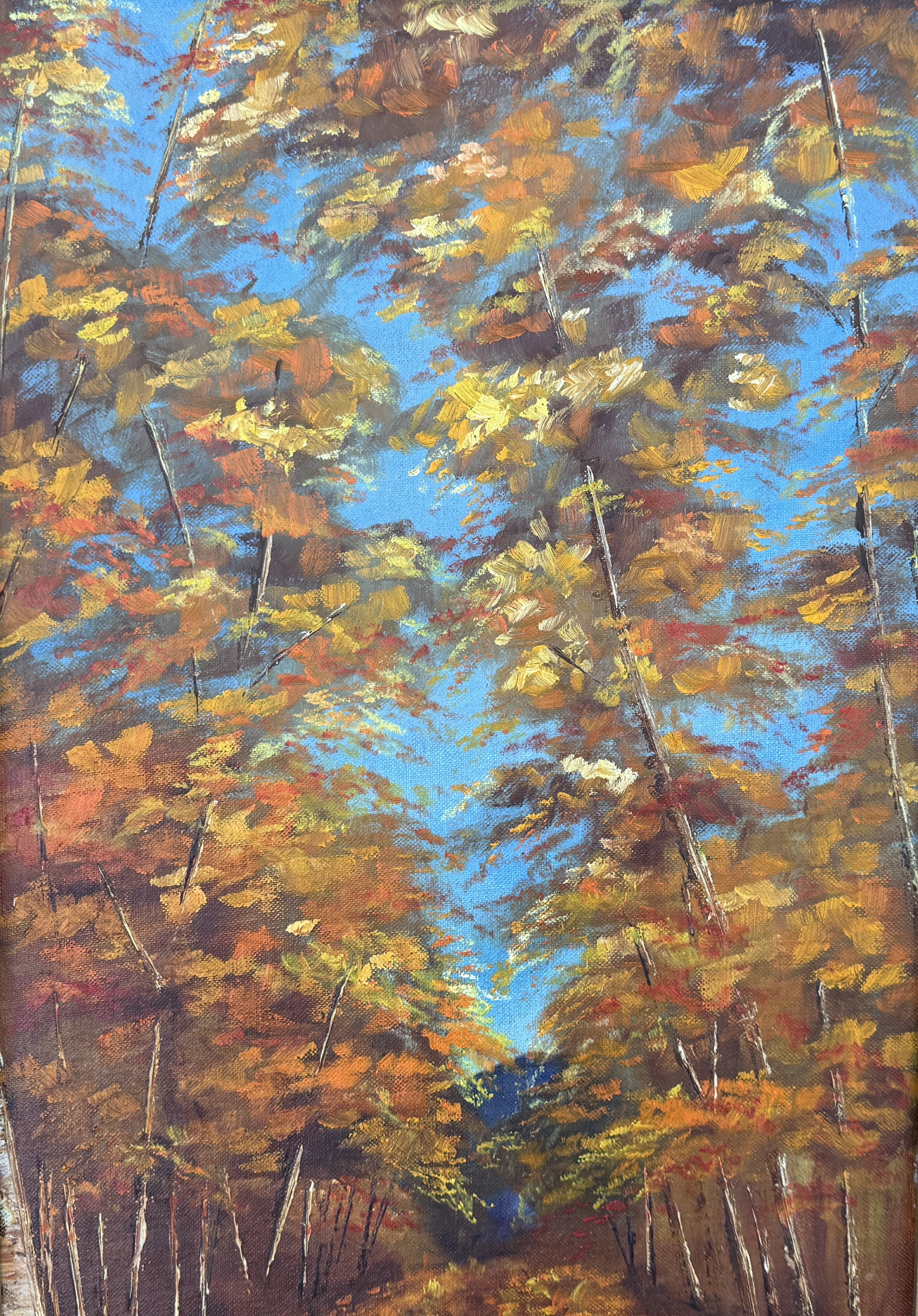 LINDA STARREN, "FALL TREES"