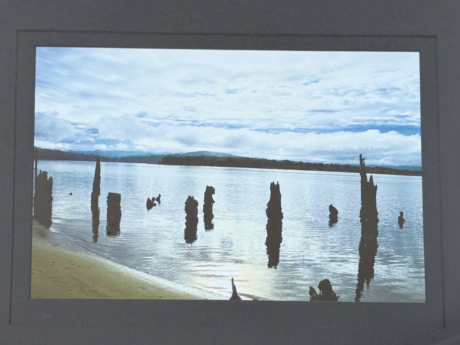 LYNN DEAN, "STILL WATERS, COOS BAY"
